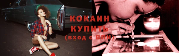 ешки Гусев