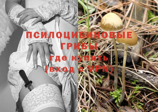наркотики Горнозаводск