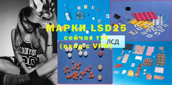 стаф Горняк