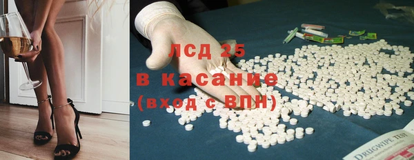 стаф Горняк