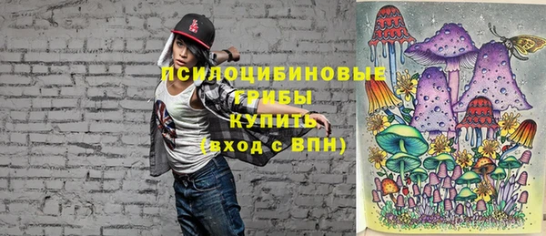 apvp Горно-Алтайск